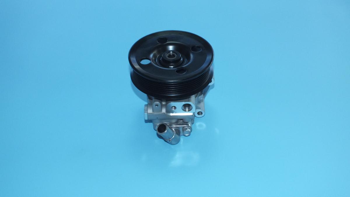 PUMP ASSY VANE