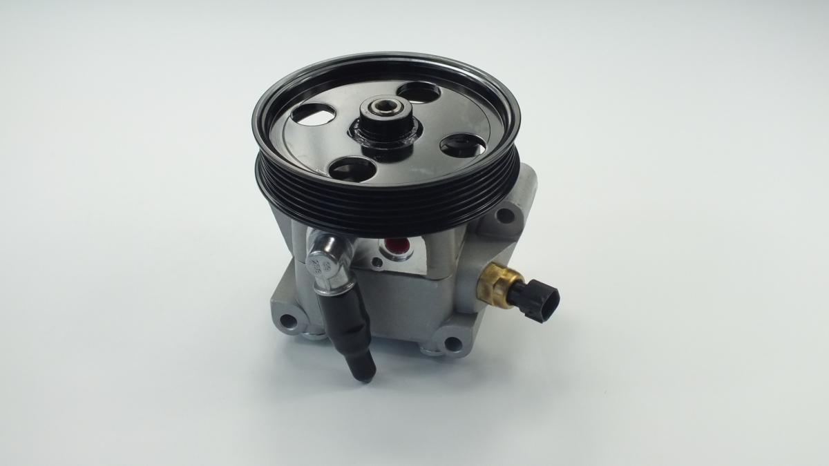 PUMP ASSY VANE