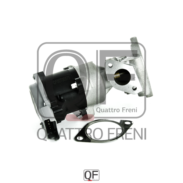 EGR VALVE