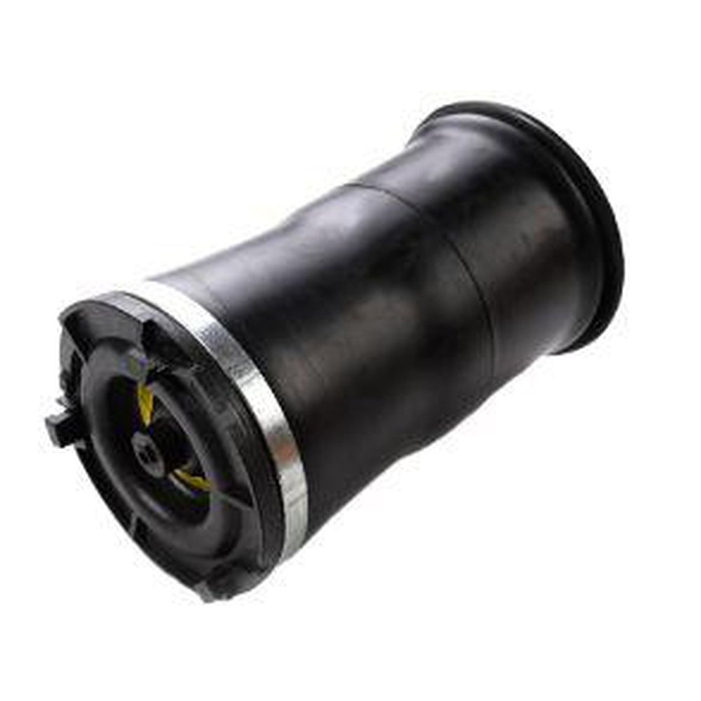 AIR SUSPENSION STRUT, REAR LEFT AND RIGHT