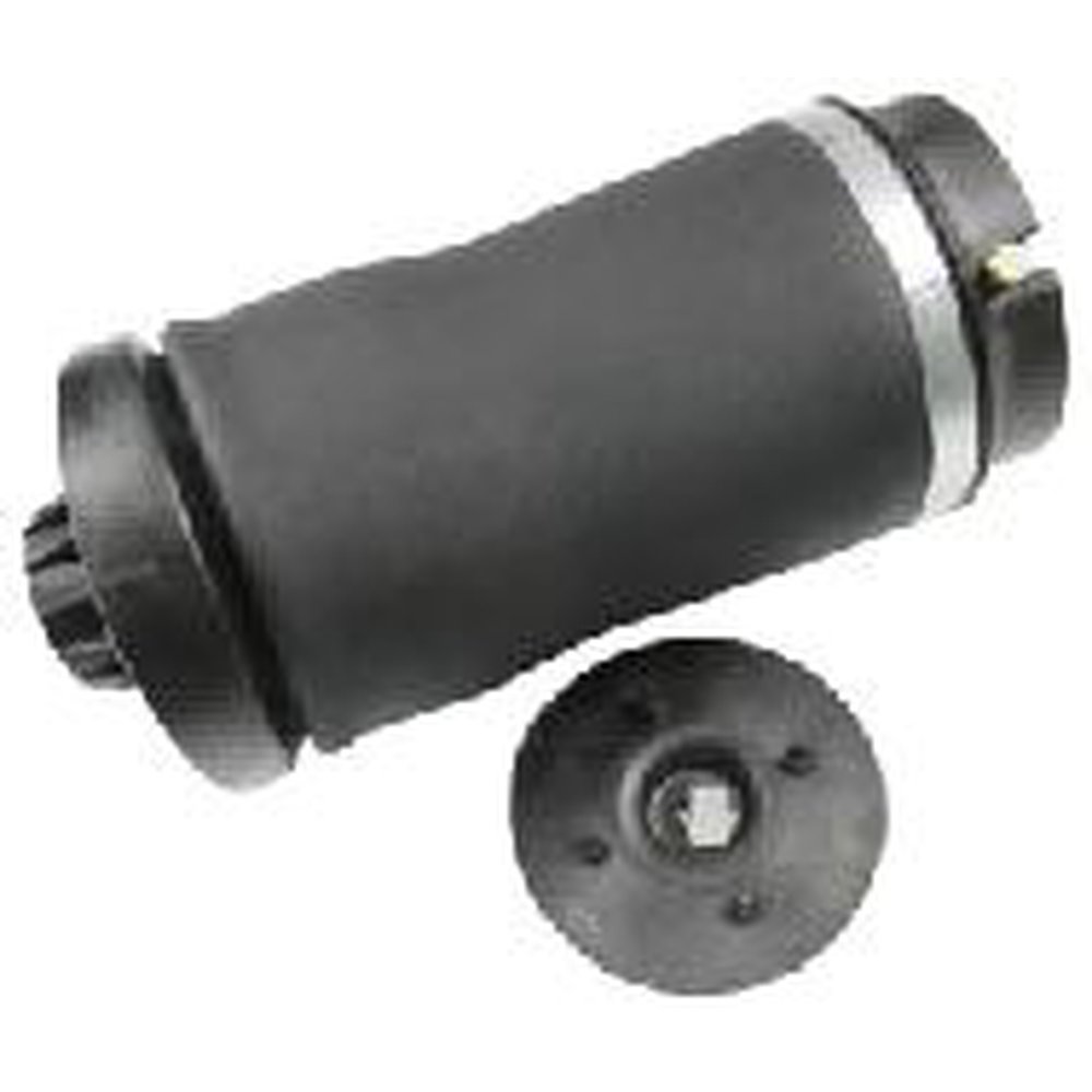 AIR SUSPENSION STRUT, REAR LEFT AND RIGHT