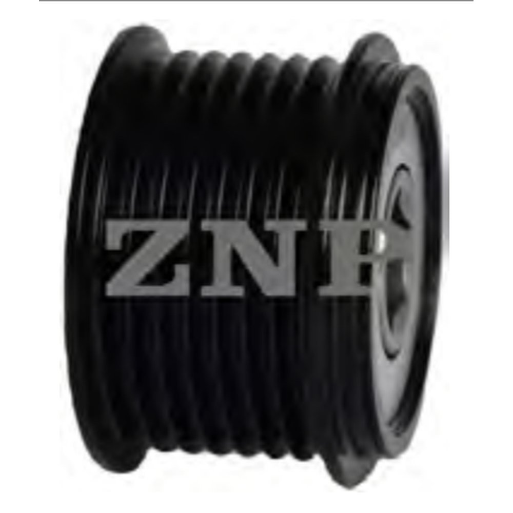 OVERRUNNING ALTERNATOR PULLEY