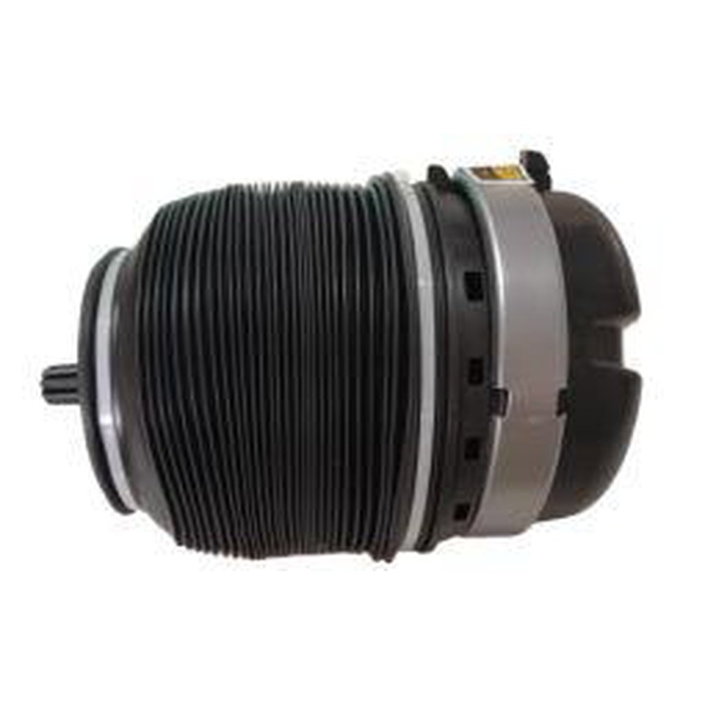 AIR SUSPENSION STRUT, REAR LEFT