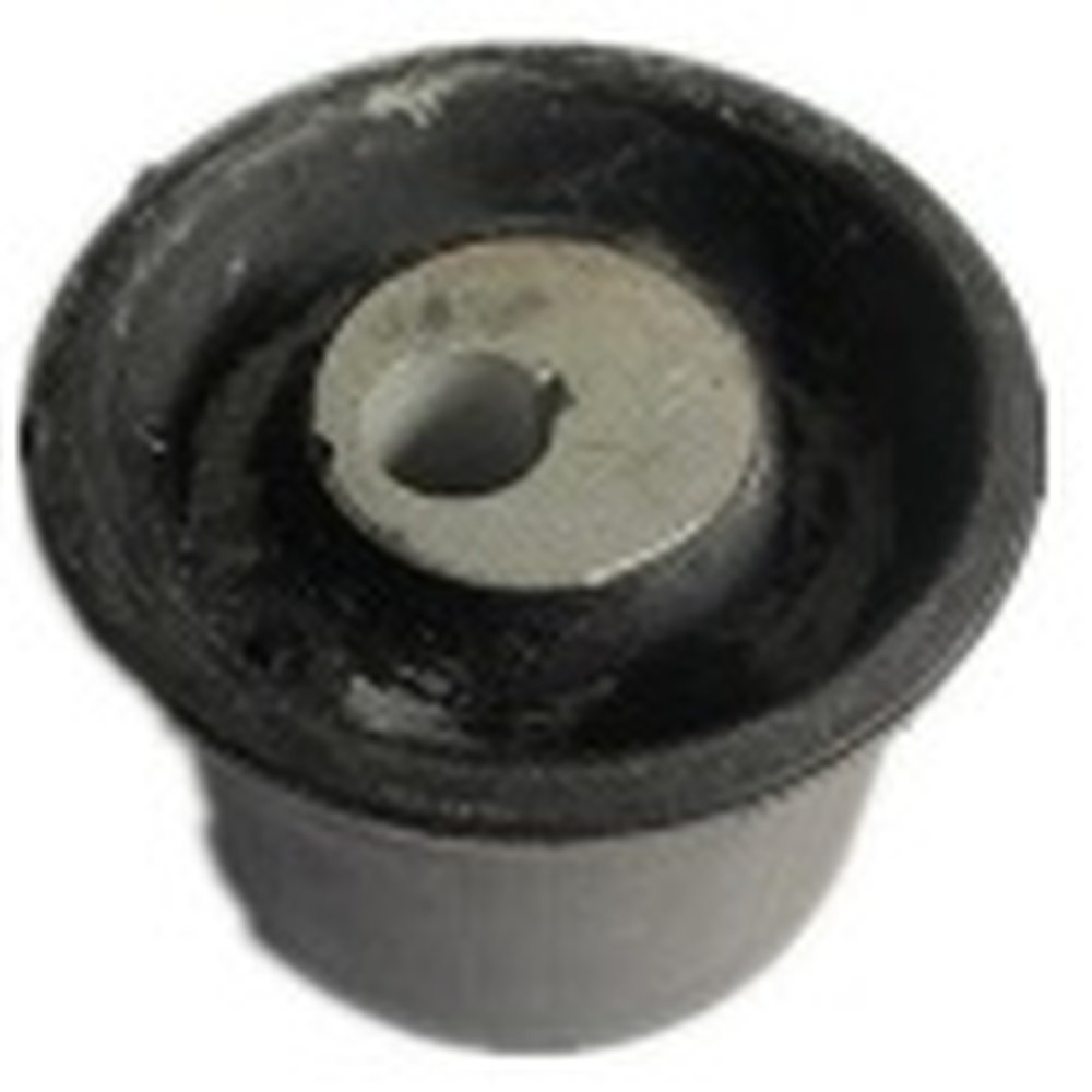 DIFFERENTIAL MOUNT BUSH