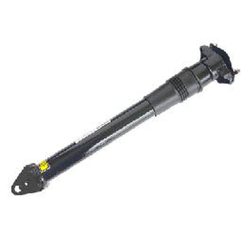 AIR SUSPENSION STRUT, REAR LEFT AND RIGHT