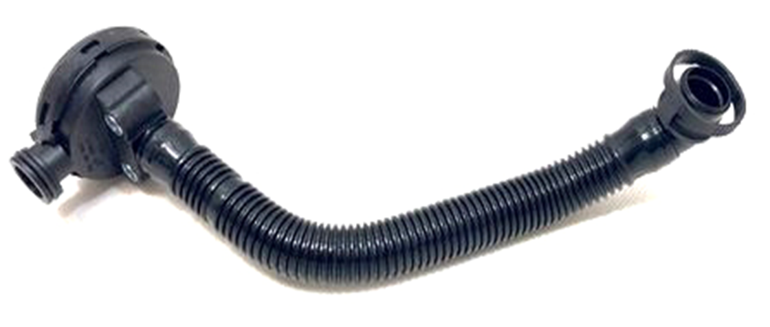 MEMBRANE