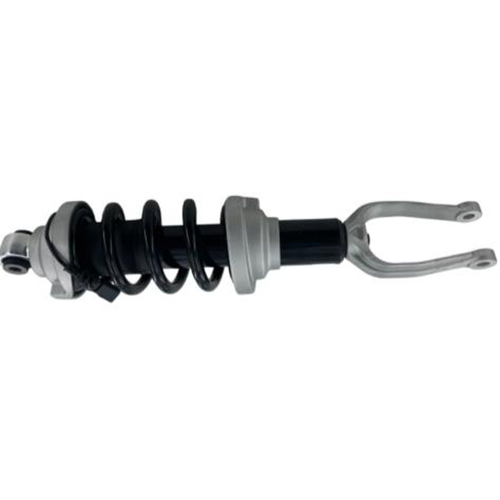 AIR SUSPENSION STRUT, FRONT RIGHT