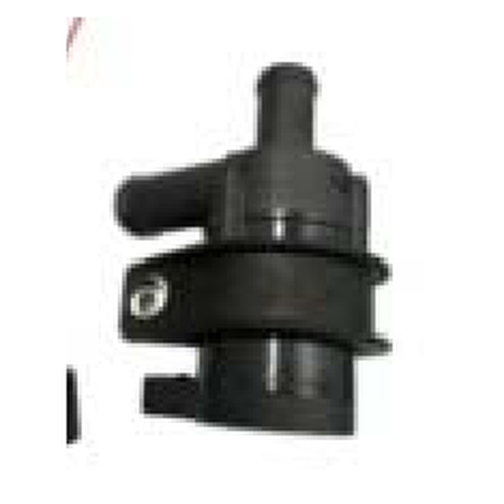 AUXILIARY WATER PUMP