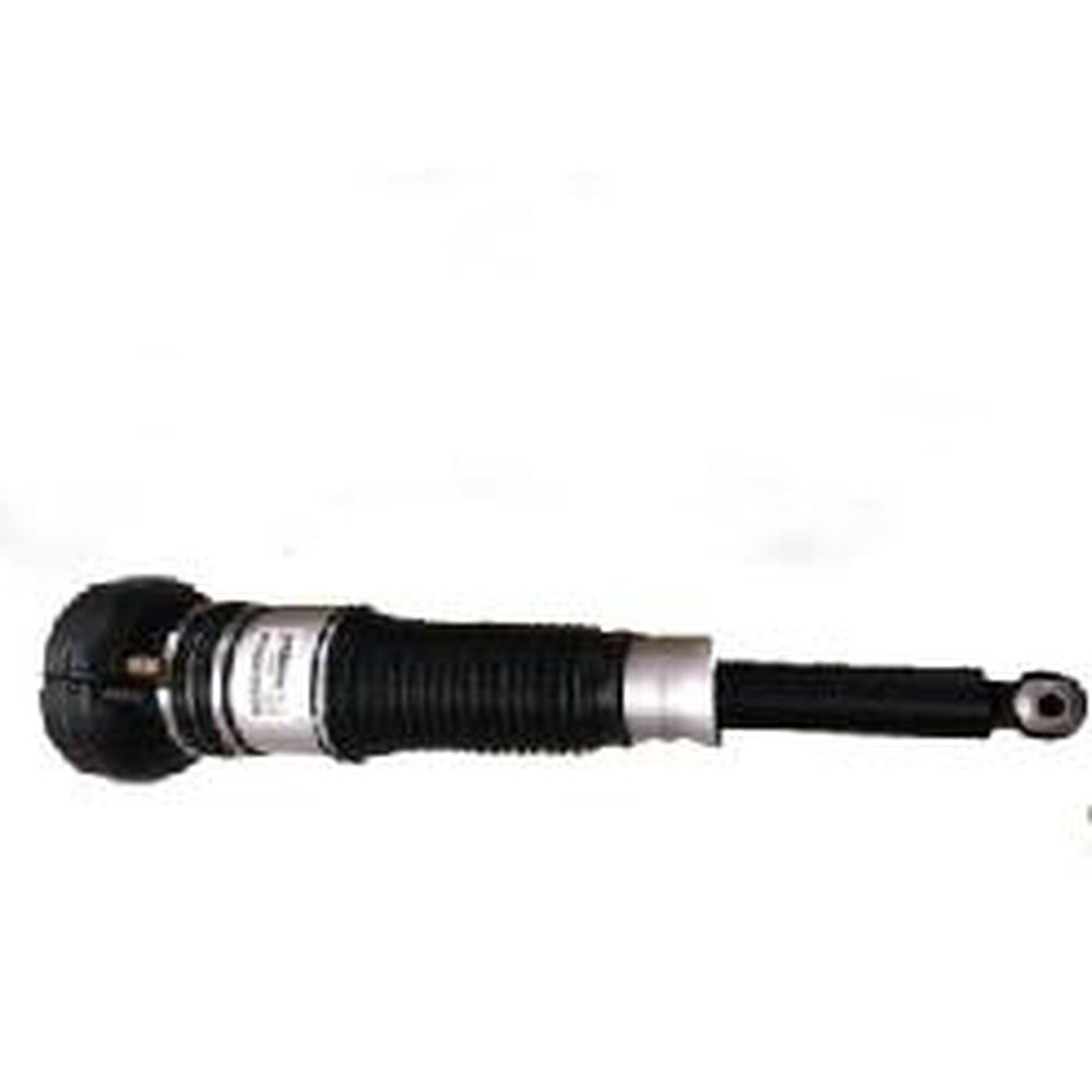 AIR SUSPENSION STRUT, REAR LEFT AND RIGHT