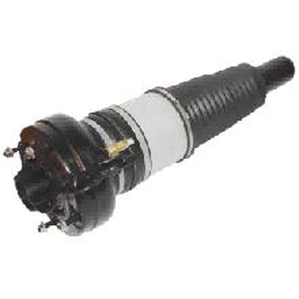 AIR SUSPENSION STRUT, FRONT LEFT AND RIGHT