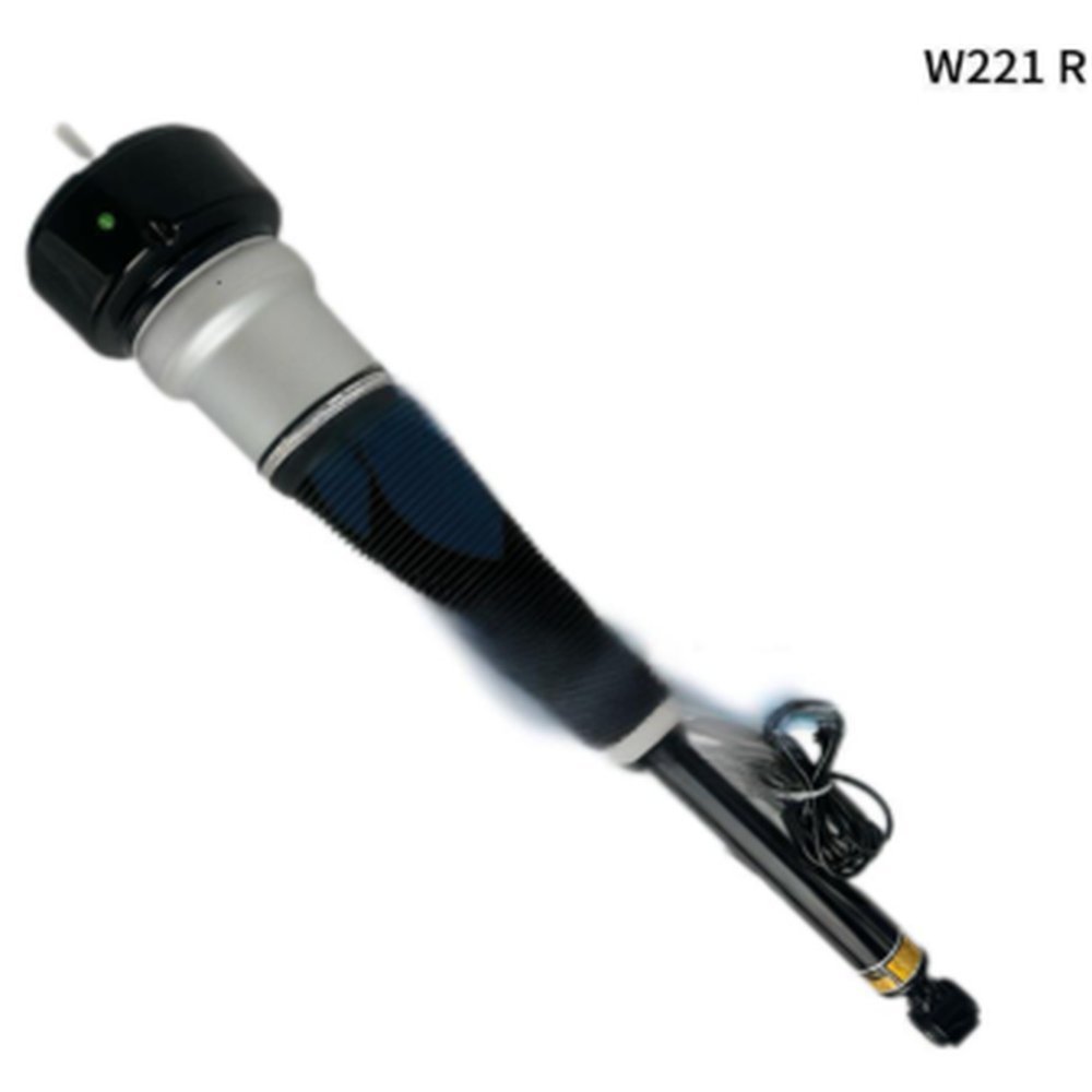 AIR SUSPENSION STRUT, REAR LEFT