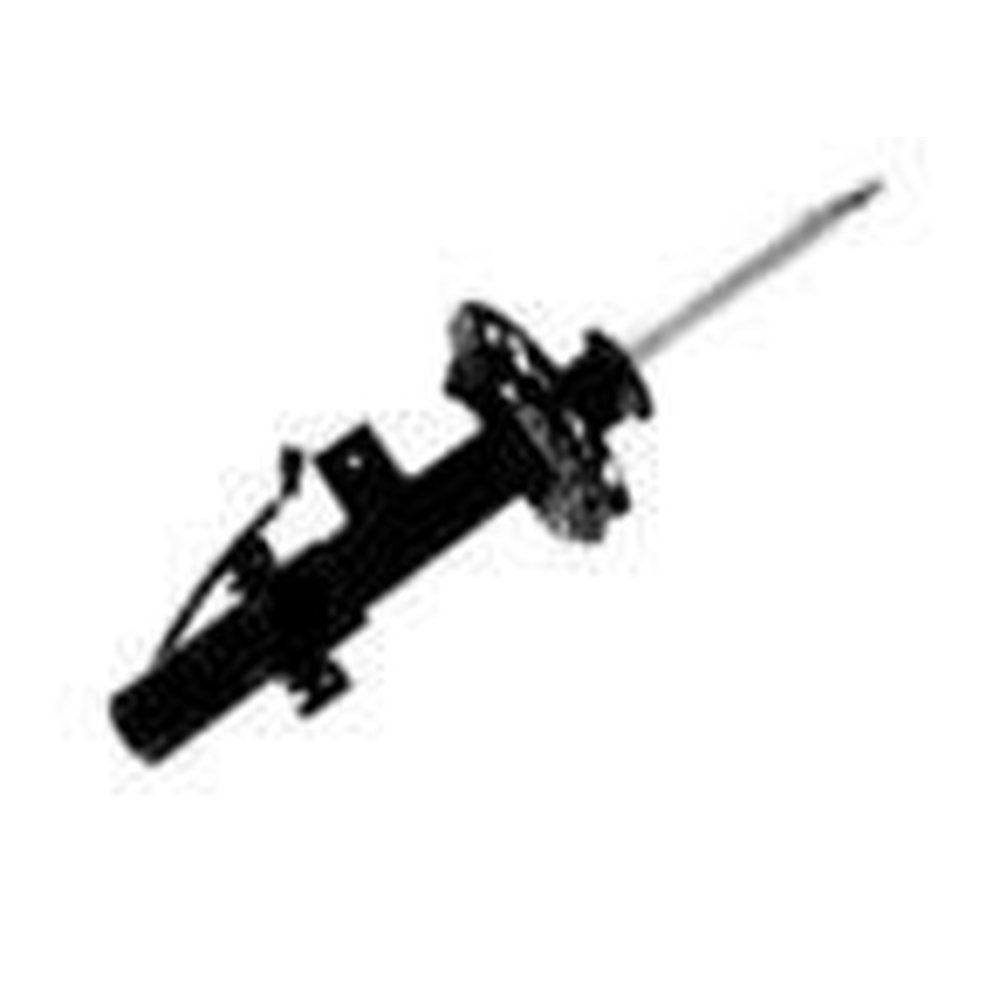 AIR SUSPENSION STRUT, FRONT RIGHT