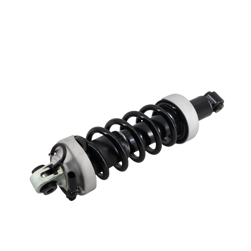 AIR SUSPENSION STRUT, REAR RIGHT