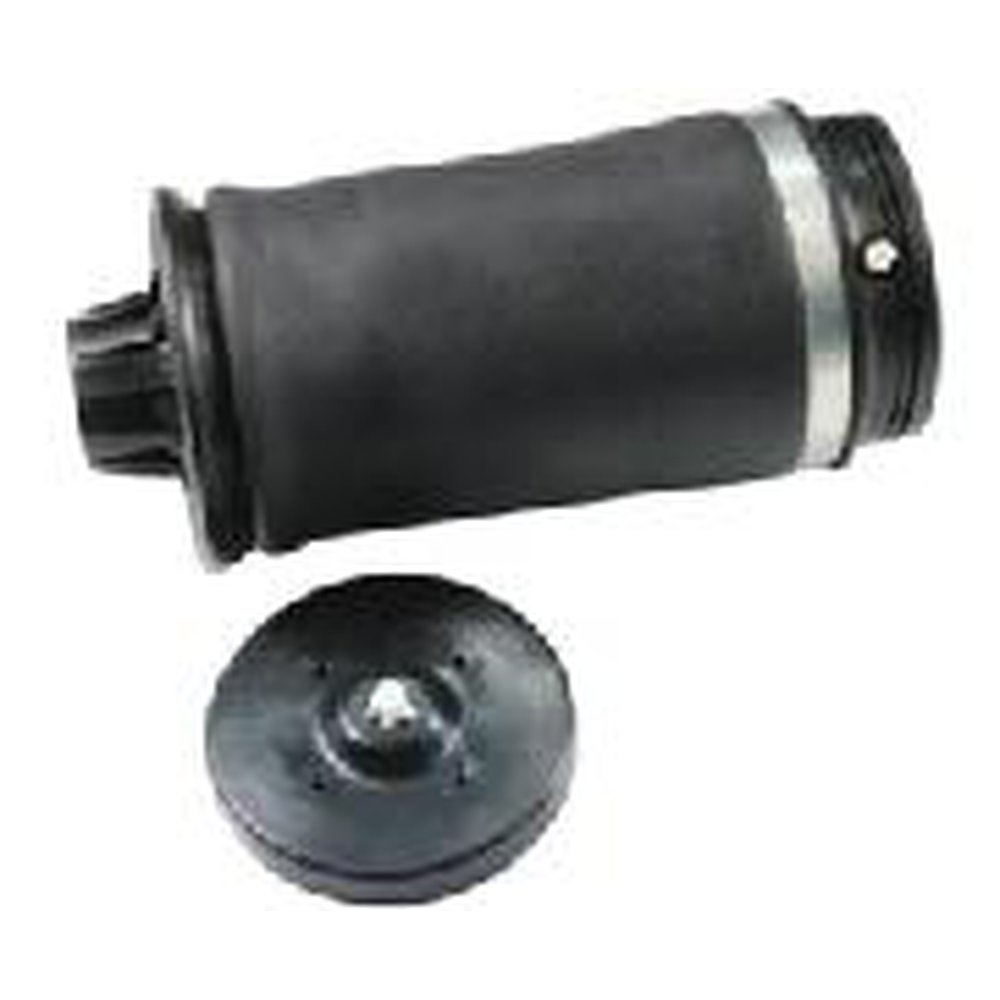 AIR SUSPENSION STRUT, REAR LEFT AND RIGHT