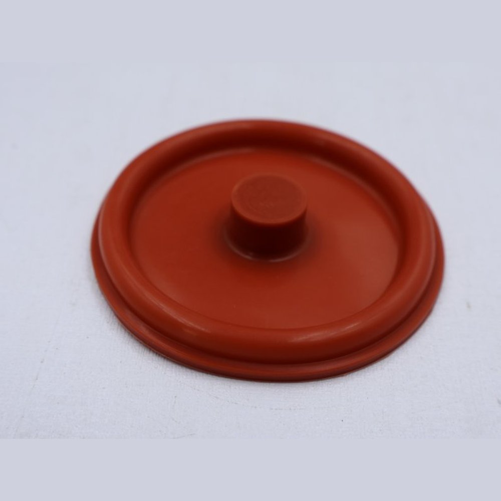 DIAPHRAGM